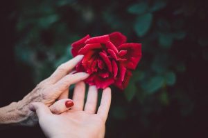 seed of hope