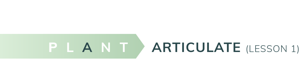 Articulate Lesson 1-08a