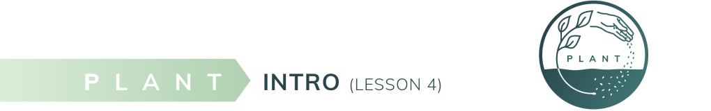 Intro Lesson 4-08