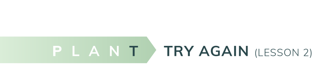 Try Again Lesson 2-08a