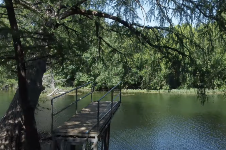 Screenshot 2026-01-12 at 2.41.47 PM